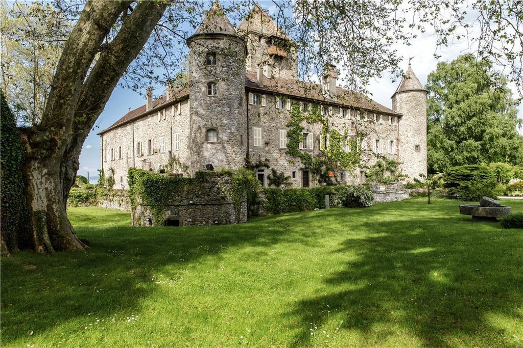 Chateau De Coudree - Les Collectionneurs Sciez Buitenkant foto