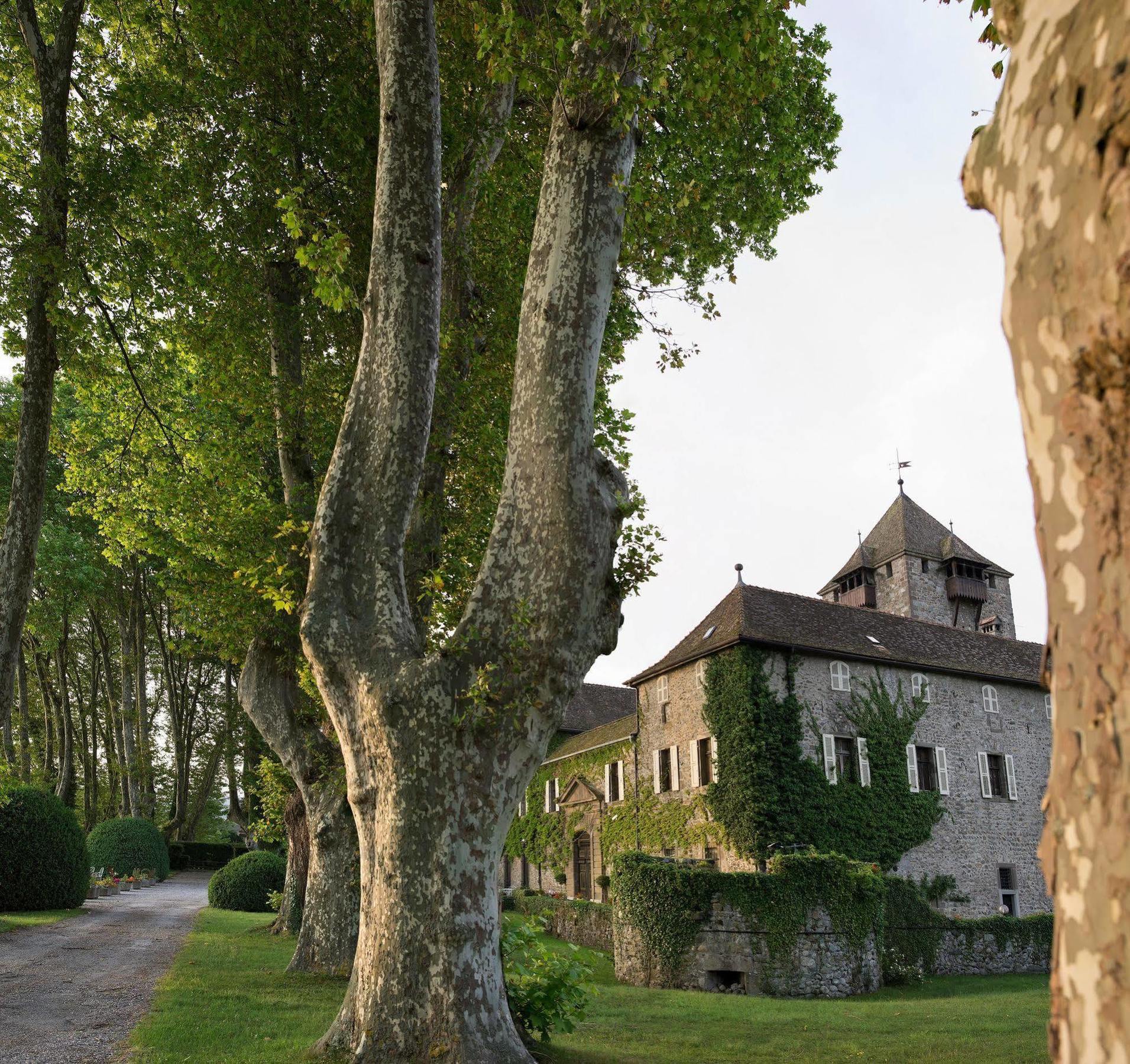 Chateau De Coudree - Les Collectionneurs Sciez Buitenkant foto
